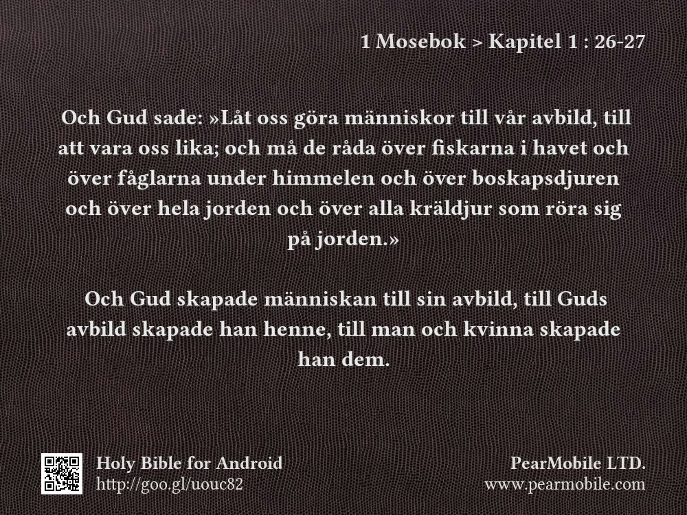 1 Mosebok, Kapitel 1:26-27